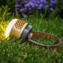 Lampe LED sans fil Bulbee | Paranocta