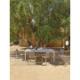 Table Tevere Lam tortora et fauteuils Tiberina sous les arbres
